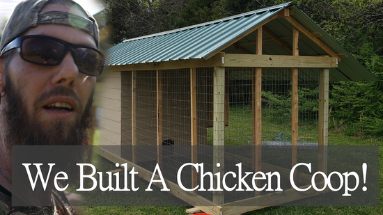 We Built A Chicken Coop (Extended Version)